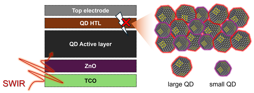 A diagram of a graphene molecule AI-generated content may be incorrect.